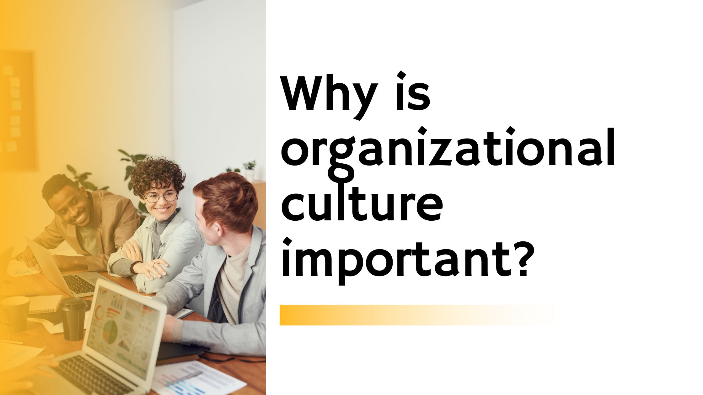 Why Is Organizational Culture Important BeStorified