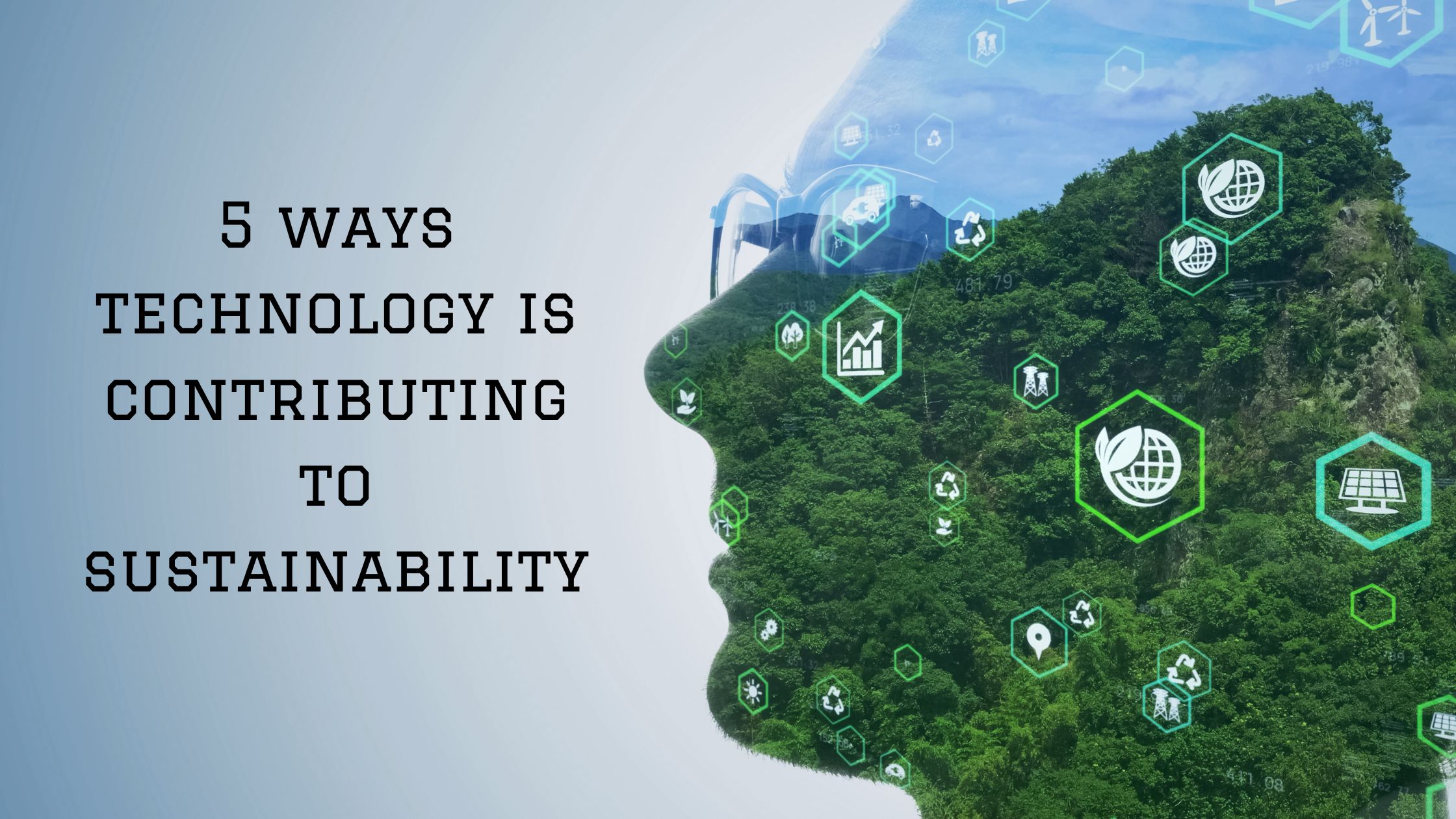 5 ways technology is contributing to sustainability